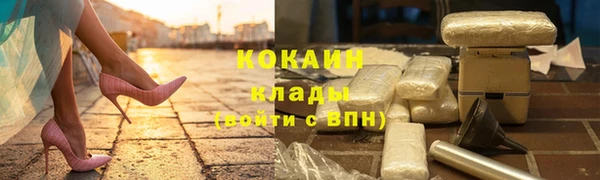дмт Дмитриев
