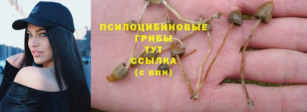 мескалин Дмитровск