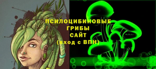 дмт Дмитриев